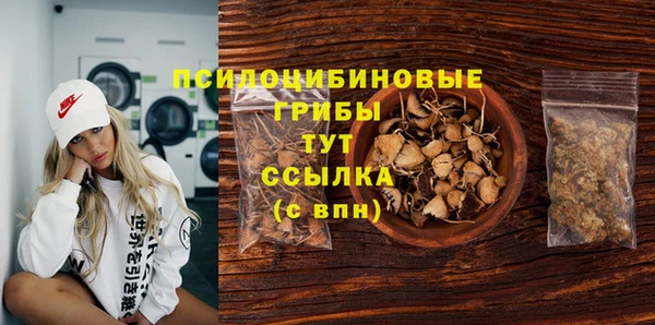 мет Аркадак