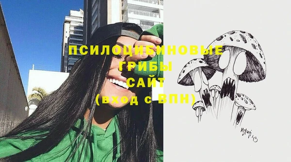 мет Аркадак