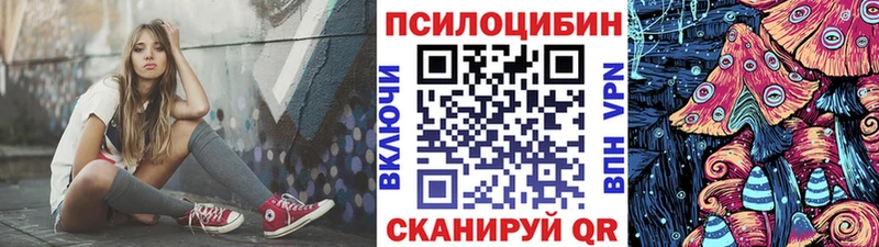 наркота  Озёрск  ОМГ ОМГ ССЫЛКА  Галлюциногенные грибы Psilocybe 